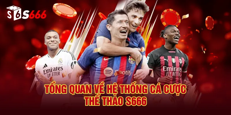 Tổng Quan Về Hệ Thống Cá Cược Thể Thao S666